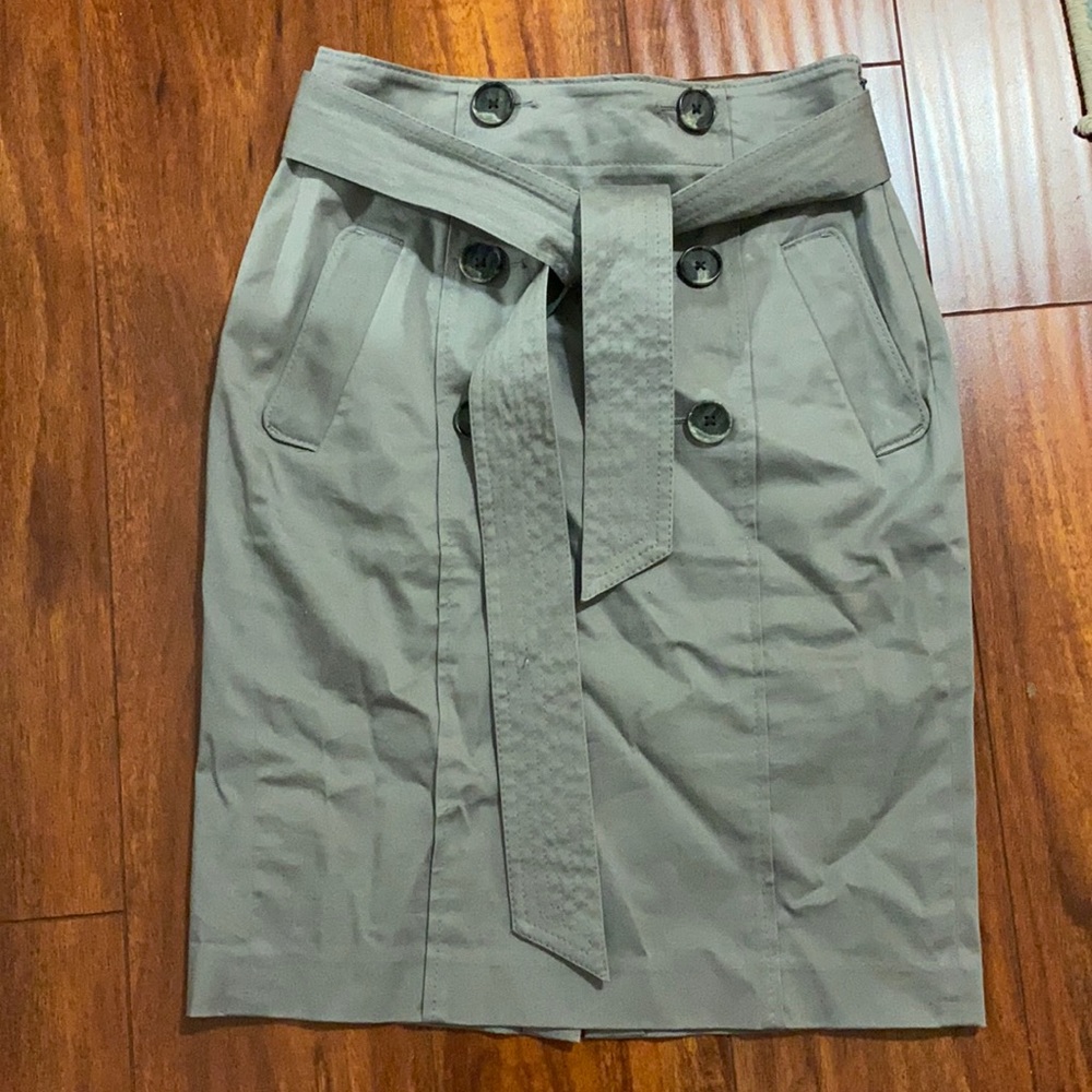 Ann Taylor Skirt